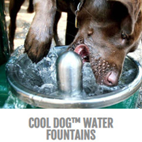 CAD Drawings BIM Models Gyms For Dogs® Cool Dog™ Water Fountains